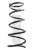 SPIDAN 85554 Coil Spring